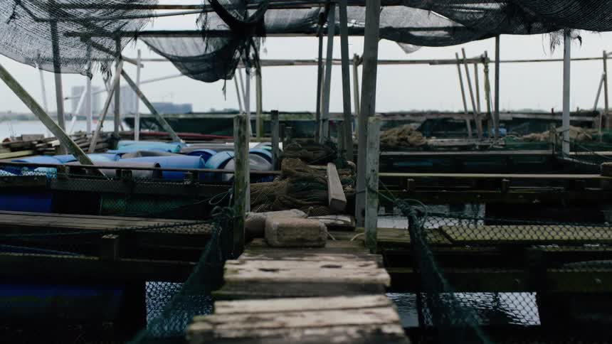 A static, moody shot looking down a rustic wooden pier on a floating fish farm on an overcast day