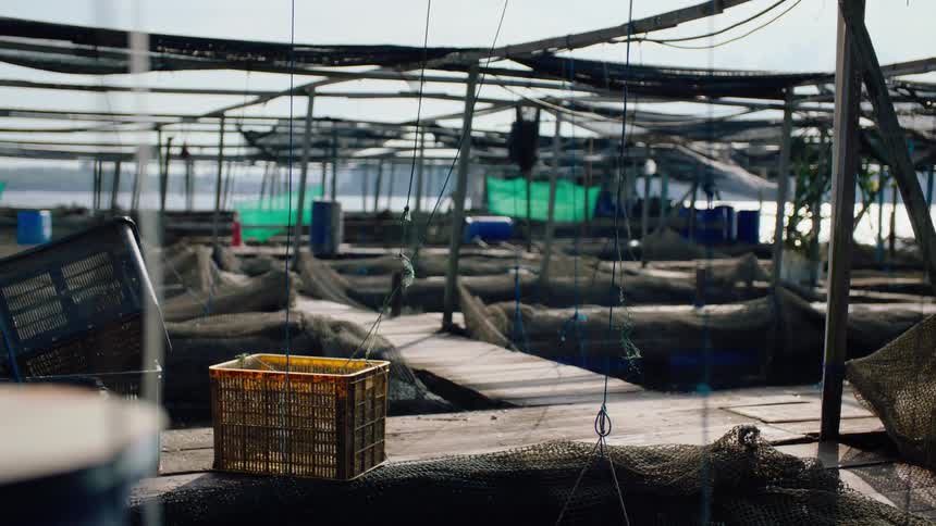 The rustic and weathered deck of a floating fish farm with nets hanging to dry