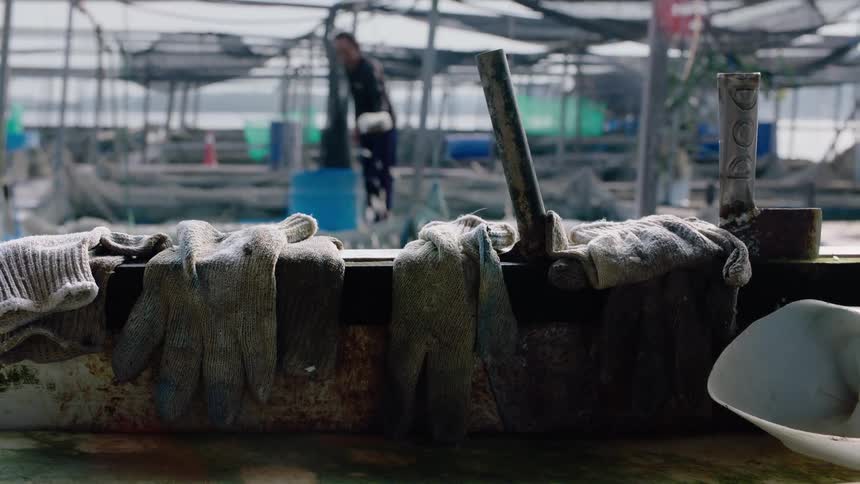 Worn work gloves rest on a ledge at an aquaculture farm as a worker tends to the tanks in the background