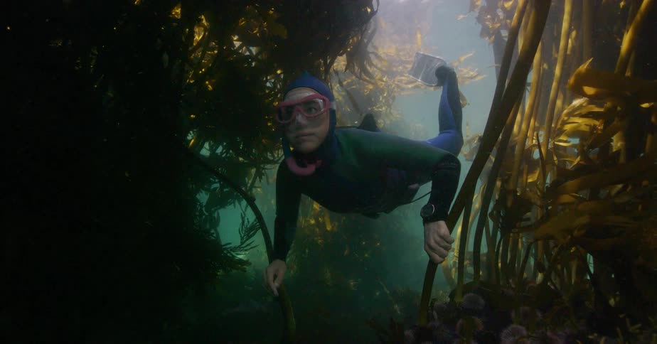 A freediver gracefully explores a beautiful sunlit kelp forest, giving a thumbs up before swimming through the dense underwater world