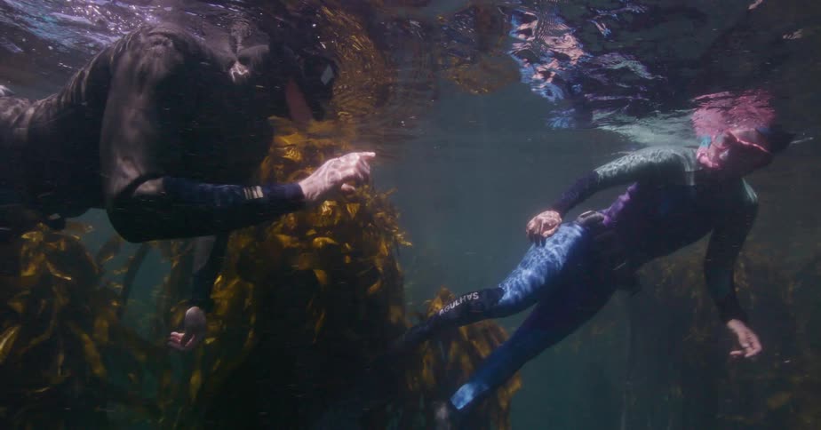 An underwater slow motion view shows a freediving instructor pointing and coaching his student in the kelp forest
