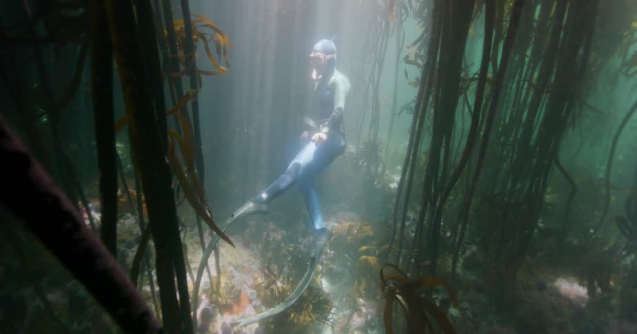 A free diver gracefully explores a mystical underwater kelp forest as beautiful sun rays pierce the water from above