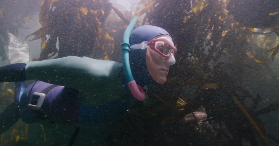 Underwater shot of a female snorkeler swimming slowly and gracefully through a dense kelp forest