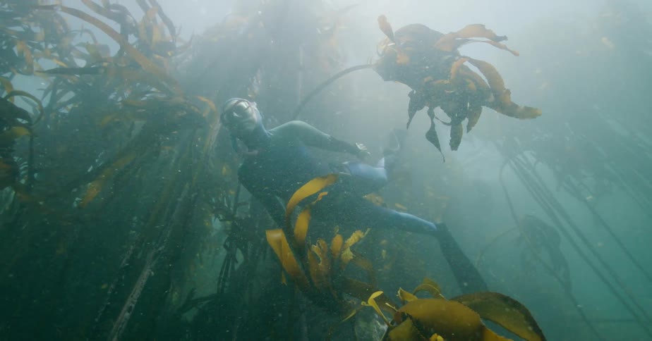 A serene freediver glides effortlessly through a tranquil, sun-dappled underwater kelp forest in slow motion