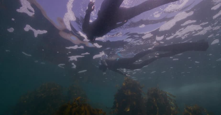 An underwater low-angle shot captures two free-divers in wetsuits exploring the sunlit surface before one descends into the kelp forest below