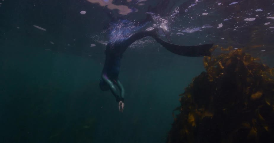 A female freediver gracefully descends into the depths of a majestic kelp forest illuminated by beautiful sun rays