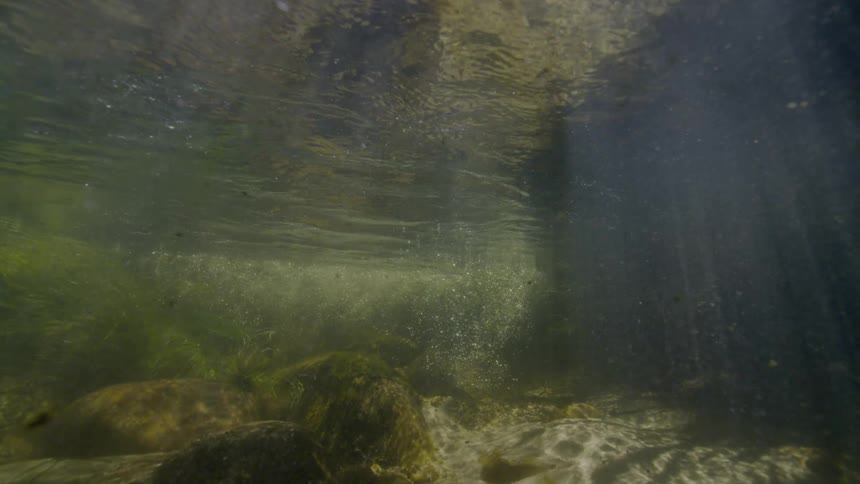 A serene underwater view of a sunlit riverbed shows rocks, aquatic plants, and bubbles rising towards the surface