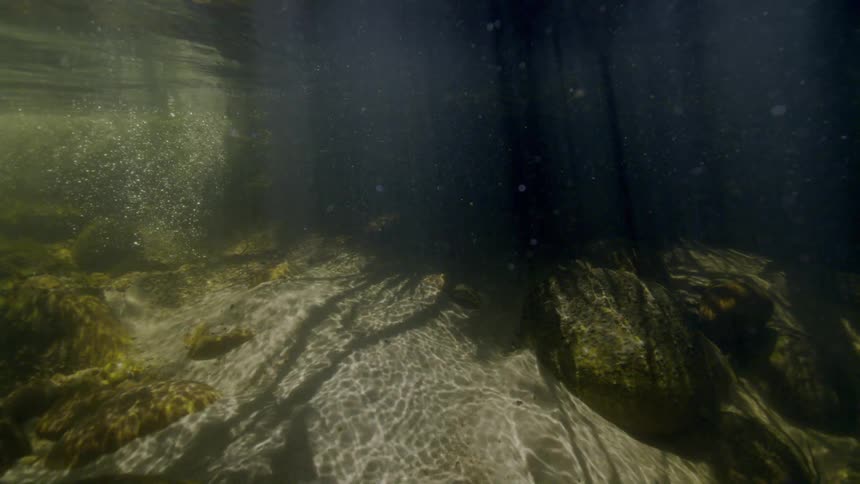 An underwater view of a sunlit riverbed shows shimmering light patterns on the sandy bottom between mossy rocks