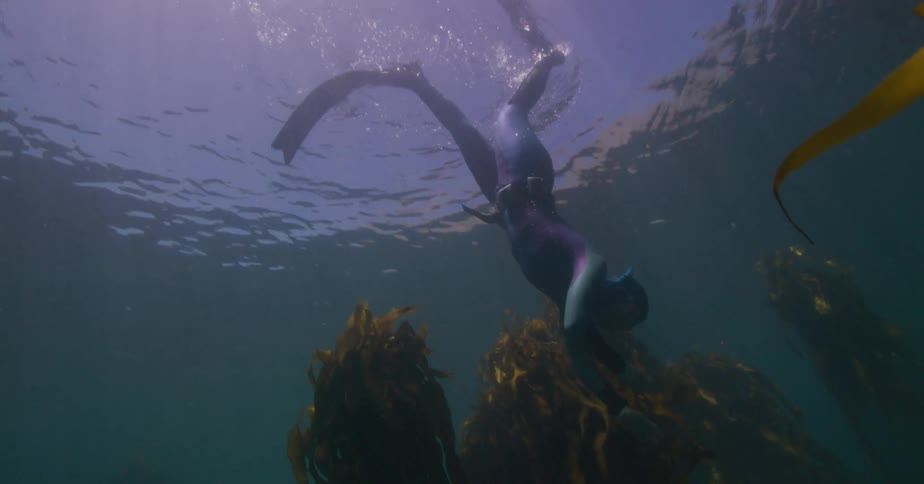 Sun rays illuminate a free-diver as they perform a duck dive and descend into the serene underwater kelp forest