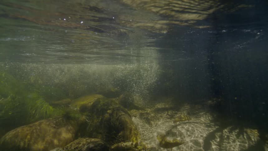 Sunlight penetrates the surface of a clear river, illuminating a tranquil underwater scene of rocks, sand, and rising bubbles