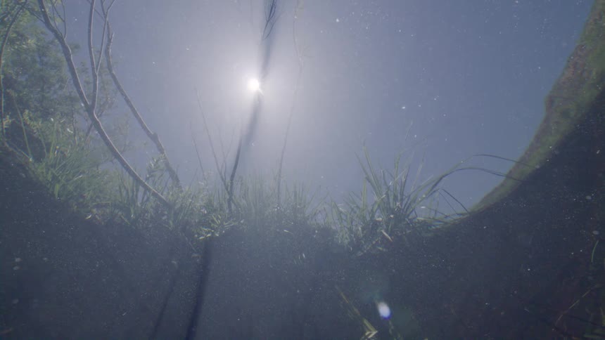 An ethereal underwater view from the bottom of a riverbed looking up at the sun shining through the water's surface