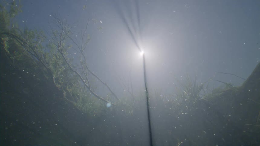 A mysterious underwater view from the bottom of a river looking up at the sun's bright rays shining through the murky water