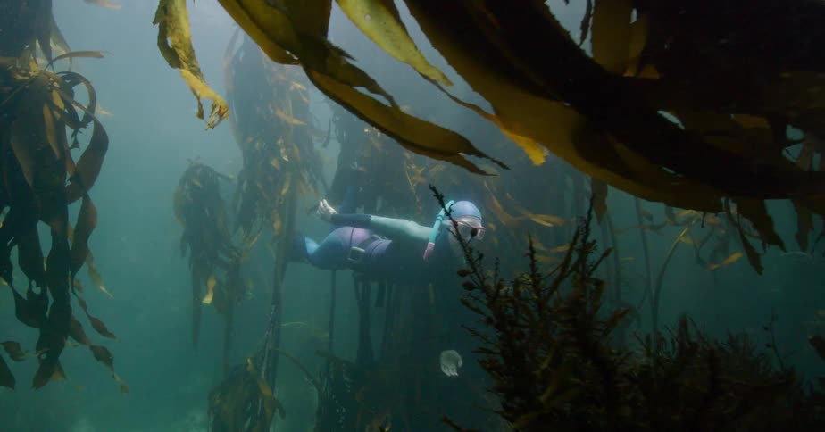 A female freediver gracefully swims through a dense, murky kelp forest, illuminated by rays of light