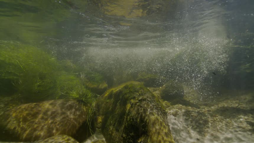 A mesmerizing underwater view of a sunlit river where bubbles stream upwards past mossy rocks and flowing green grass