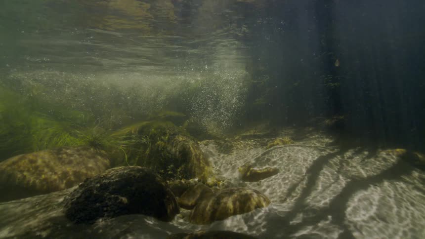 A serene underwater view of a sunlit riverbed with rocks, sand, and rising bubbles from a clear spring