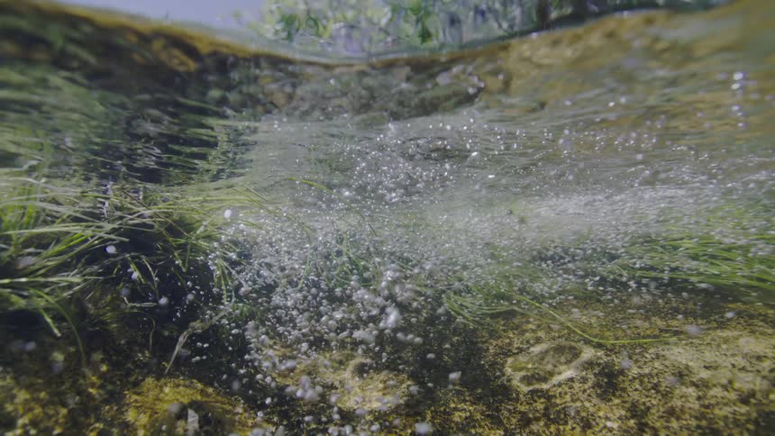 An immersive underwater shot captures sparkling air bubbles rising from the grassy bottom of a sunlit river