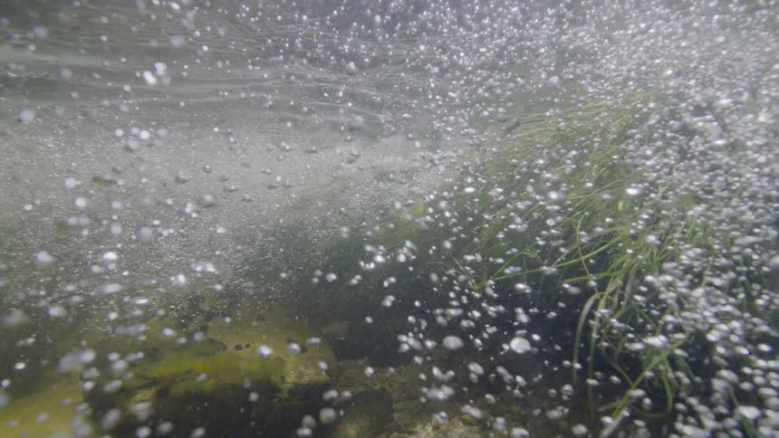 An underwater perspective captures thousands of air bubbles rushing through a fast-flowing stream with aquatic plants