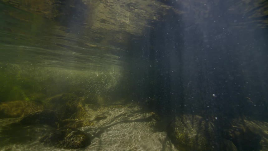 Sunbeams pierce the surface of a tranquil river, illuminating the sandy bottom and particles floating in the clear water