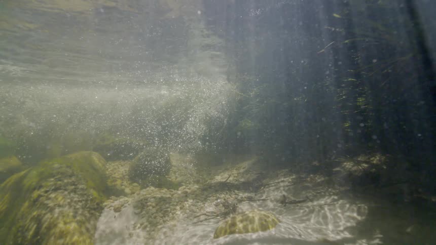 Sunlight filters through the water of a tranquil river, illuminating the rocky bottom, aquatic plants, and rising air bubbles