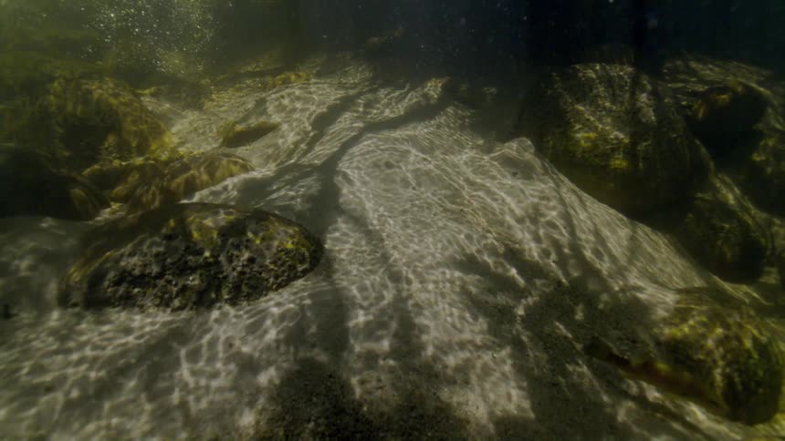 Sunlight creates mesmerizing patterns on a sandy riverbed in a serene underwater scene