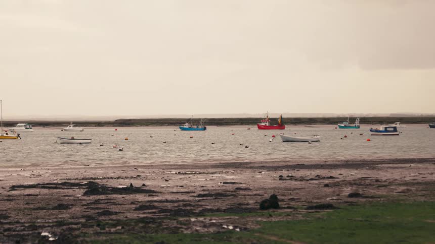 A serene view of various boats anchored in a harbor during low tide on a grey, overcast day