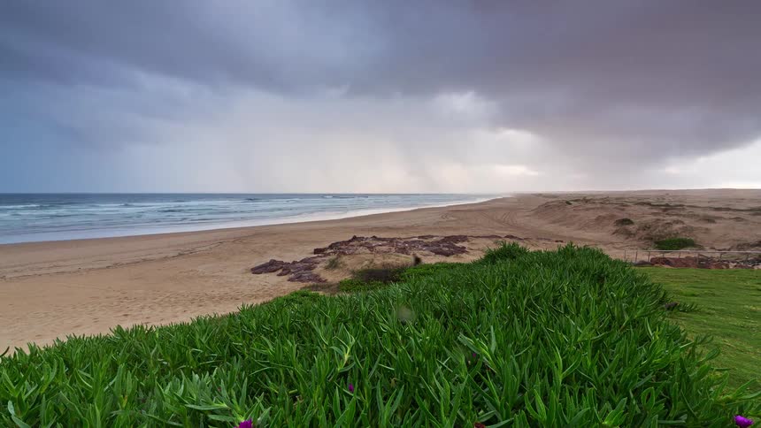 A time-lapse captures a dramatic rain storm moving in from the ocean and sweeping across a sandy beach with lush green vegetation in the foreground