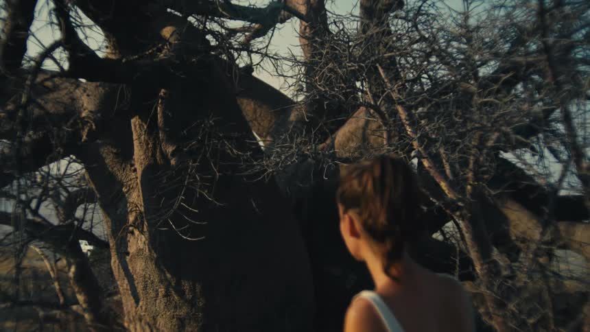 A lone woman gazes up in wonder at a colossal, ancient Baobab tree in the warm light of the African savanna