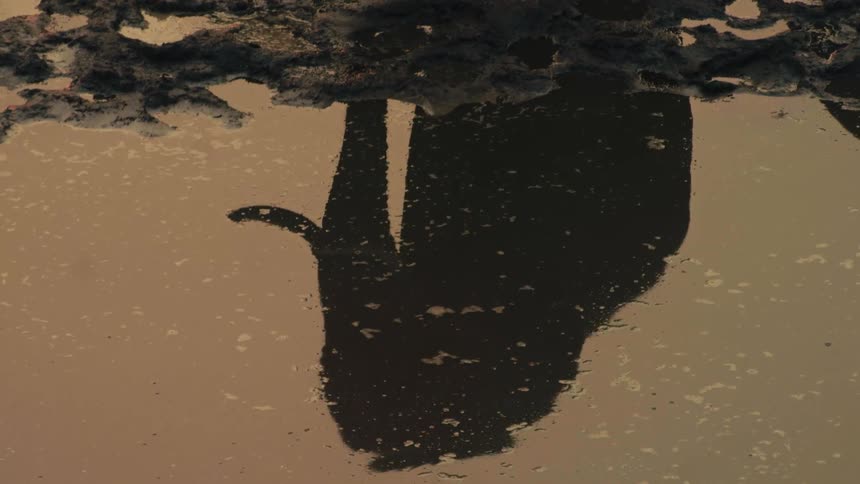 An elephant's reflection in a muddy puddle gives way to a slow-motion view of it splashing and playing in the water