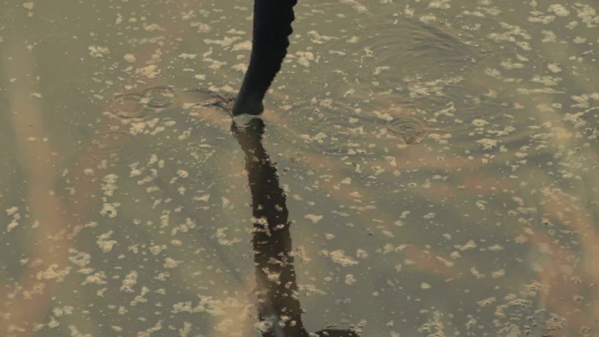 Close-up of a dirty industrial hose being submerged in murky, polluted water reflecting a smokestack