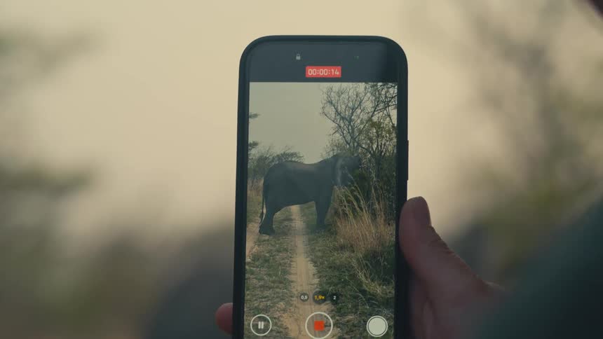 A close-up, over-the-shoulder view shows a person recording a majestic elephant on a dirt path with their smartphone during a safari