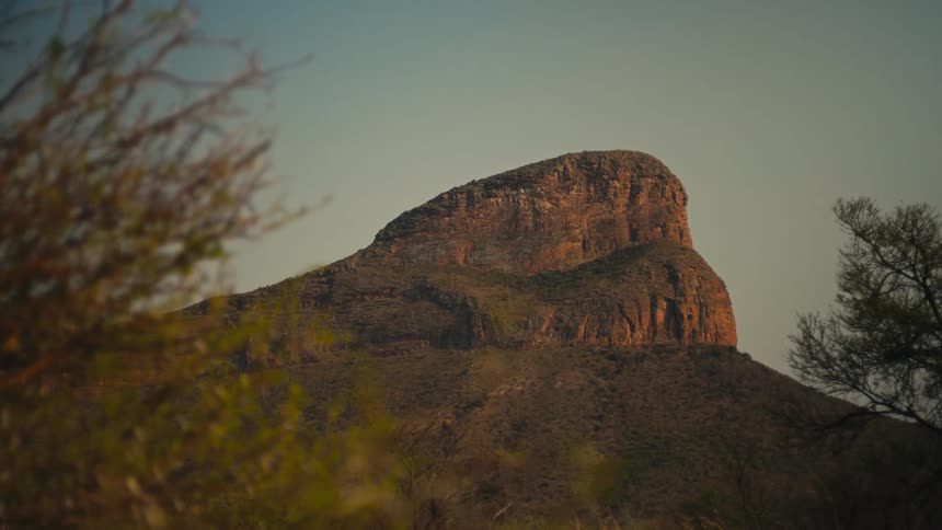 A majestic flat-topped mountain is illuminated by the golden hour light, framed by out-of-focus foliage