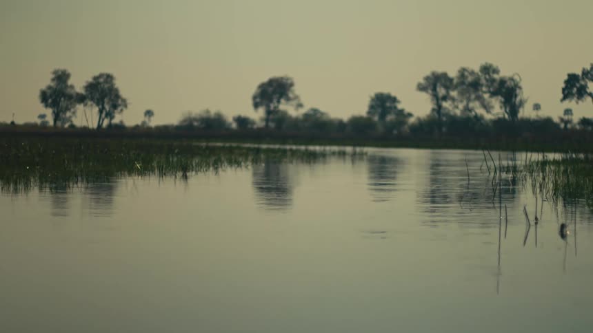 A serene, low-angle view of a tranquil river delta with calm, reflective waters and silhouetted trees on the distant shore