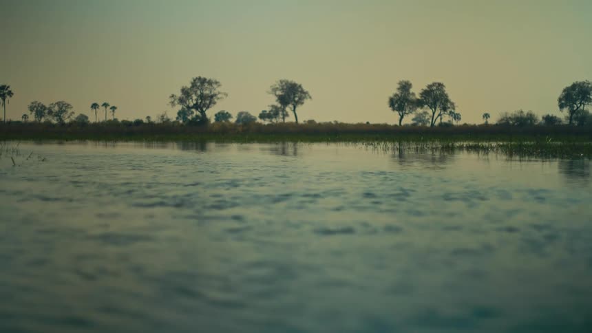 Gliding backwards over the calm, reflective waters of a vast river delta with savanna trees on the horizon