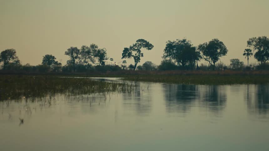 A graceful white egret takes flight in slow motion over a calm, reflective river at dusk
