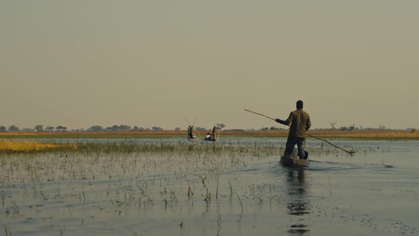 A man skillfully poles a traditional mokoro canoe through the serene, shallow waters of an African wetland in slow motion