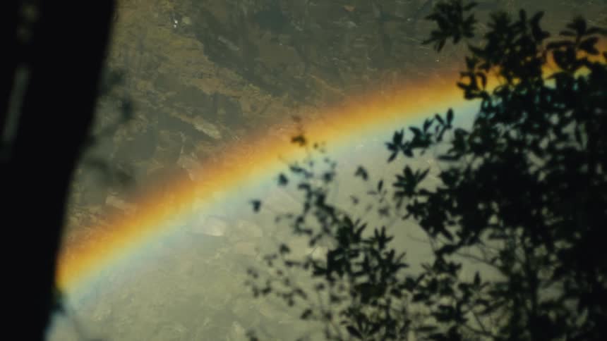 A vibrant rainbow arcs across a hazy, distant landscape, viewed through the dark silhouettes of tree leaves