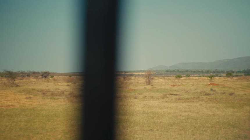Point of view shot from a safari jeep following a lone giraffe walking across the vast, open African savanna on a sunny day