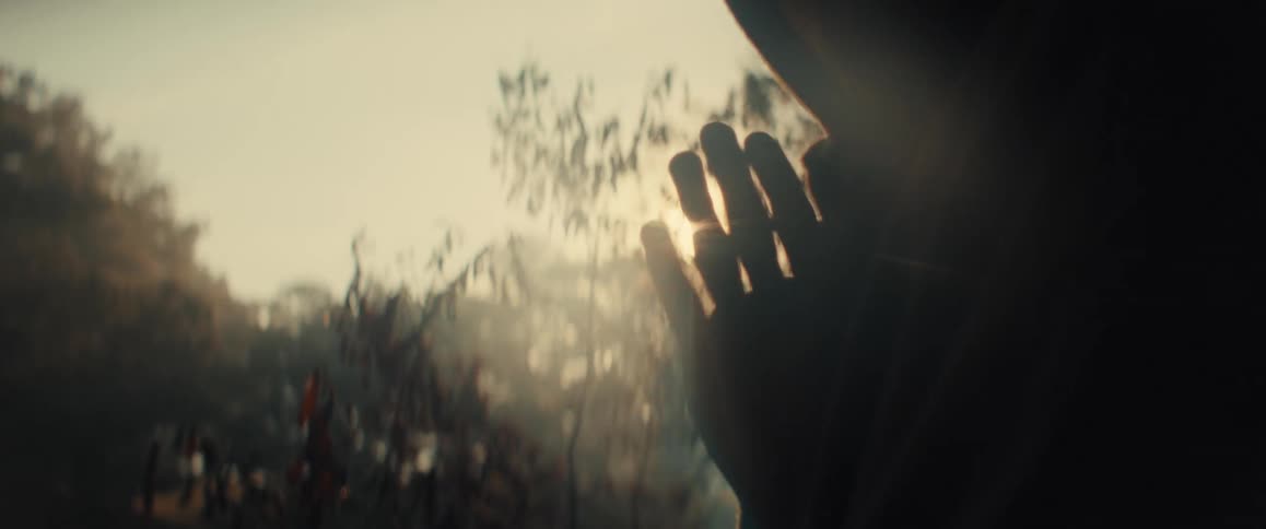 A silhouetted hand touches a window as the golden sun shines brightly through the trees at sunset