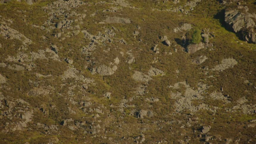 A slow vertical pan reveals a rugged, rocky mountainside with a communication tower at its peak