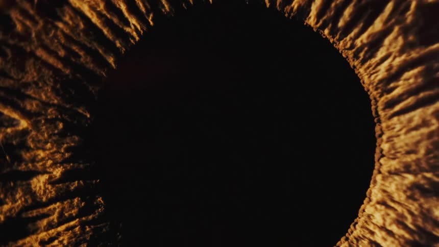 An extreme close-up of a human iris dilating as the camera zooms into the darkness of the pupil