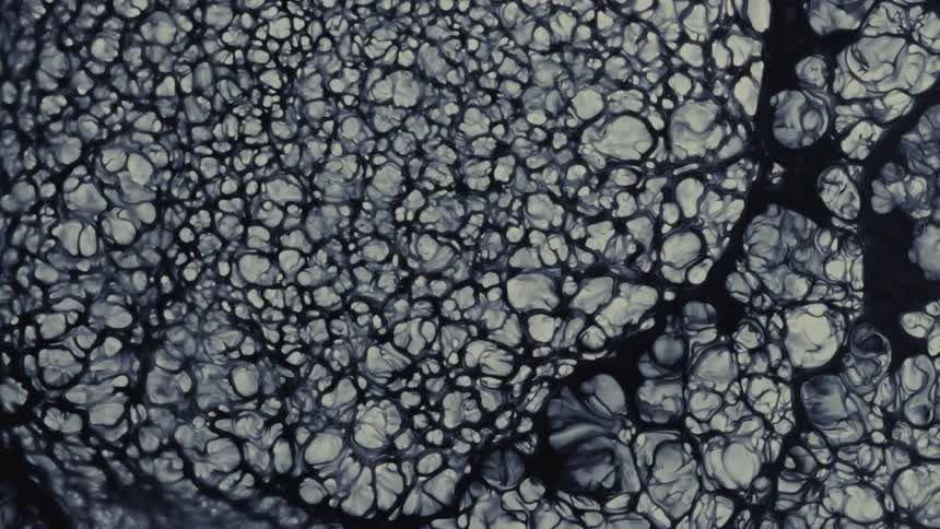 An intricate web of dark, organic patterns slowly expands as a viscous liquid separates against a white background