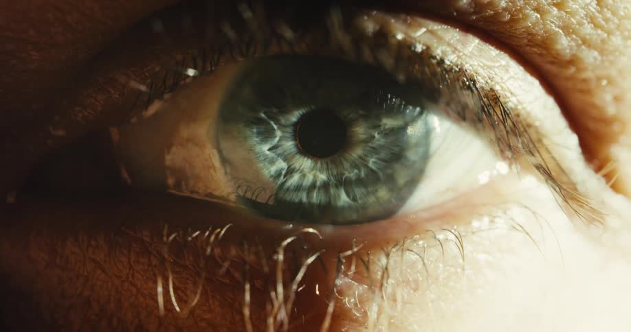 An extreme close-up of a blue human eye as a tear forms and eventually falls down the cheek