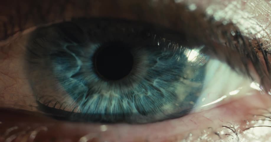 A stunning macro view of a blue human eye as the pupil slowly contracts and reacts to a bright light source