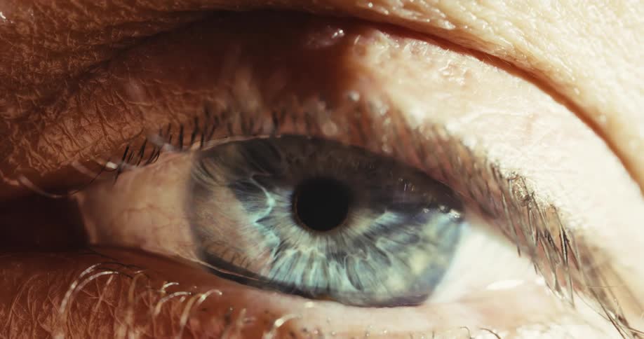 An extreme close-up macro shot of a detailed human eye with a vibrant blue iris