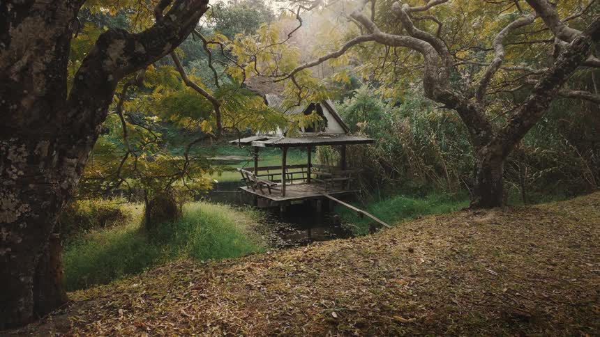 A slow zoom reveals a tranquil, weathered wooden pavilion on a placid pond, framed by ancient gnarled trees in a serene forest