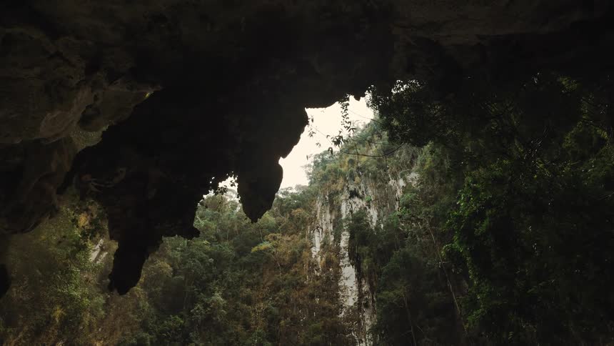 View from inside a dark cave as a colony of bats flies out into the lush tropical jungle and limestone cliffs