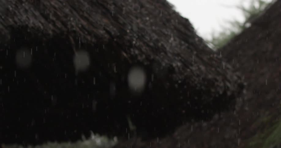 Rain dripping from a hut