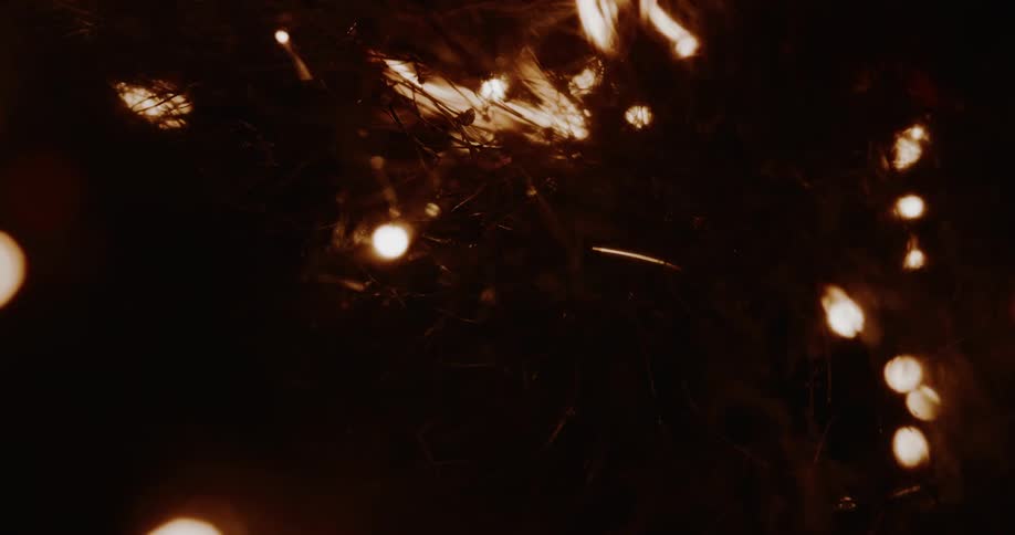 A mesmerizing macro shot of glowing embers traveling like electrical currents through burning steel wool