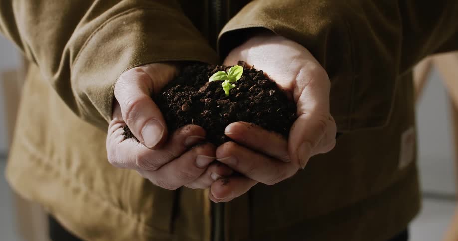 A person's hands slowly open to reveal a handful of rich soil with a small green plant sprouting from it, symbolizing growth and new beginnings