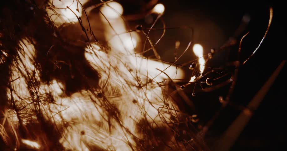A macro slow-motion shot shows fiery sparks traveling through steel wool fibers, creating an intricate, glowing network against a black background